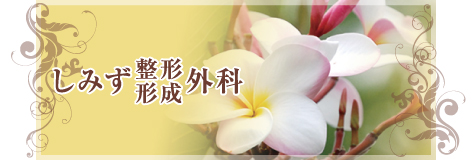 しみず整形・形成外科　平成25年9月2日（火）新規開院